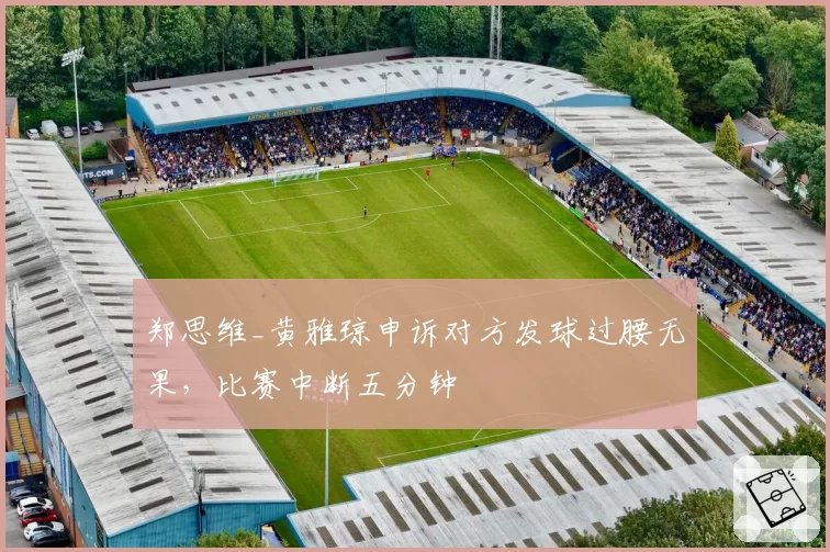 郑思维_黄雅琼申诉对方发球过腰无果，比赛中断五分钟