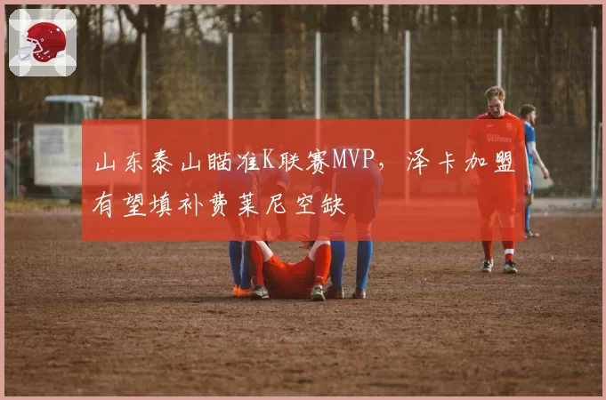 山东泰山瞄准K联赛MVP，泽卡加盟有望填补费莱尼空缺