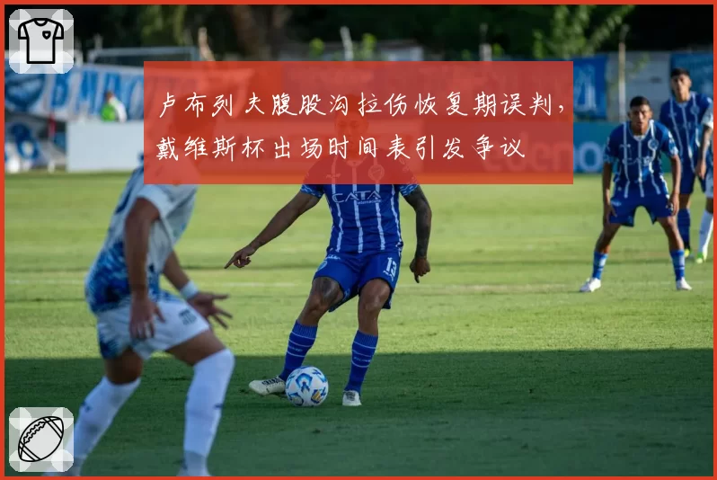 卢布列夫腹股沟拉伤恢复期误判，戴维斯杯出场时间表引发争议
