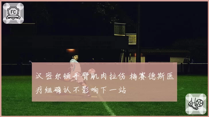 汉密尔顿手臂肌肉拉伤 梅赛德斯医疗组确认不影响下一站