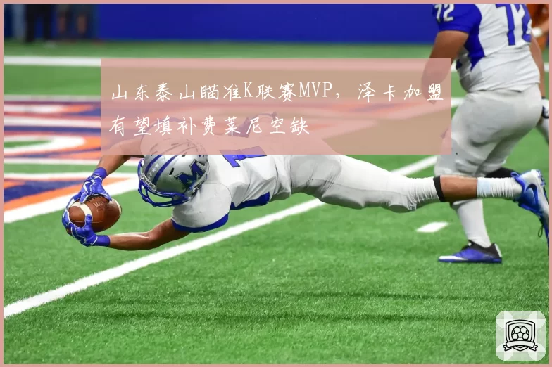 山东泰山瞄准K联赛MVP，泽卡加盟有望填补费莱尼空缺